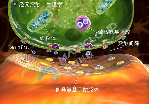 1521797335441545.jpg 3_副本.jpg