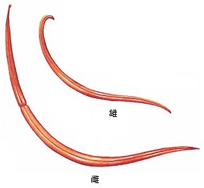 1522310580306383.png 1.png