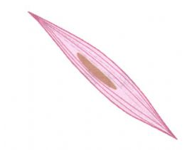 1531444568291264.png 3.png