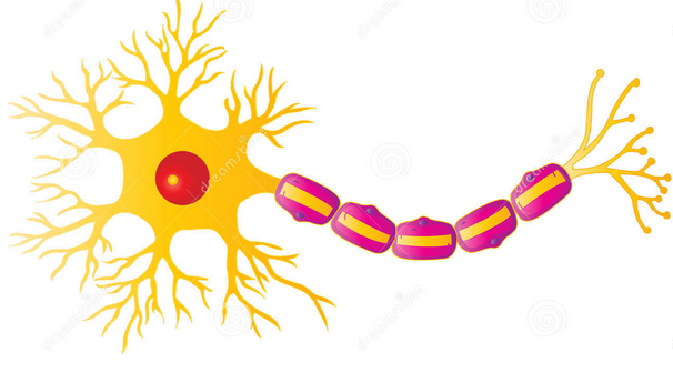 1531444576988802.png 4.png