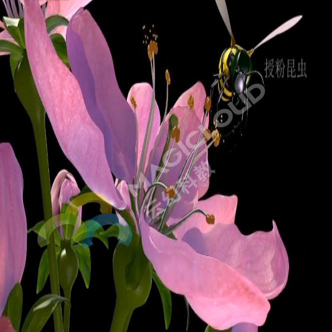 1533518175518108.png 1533518175518108.png