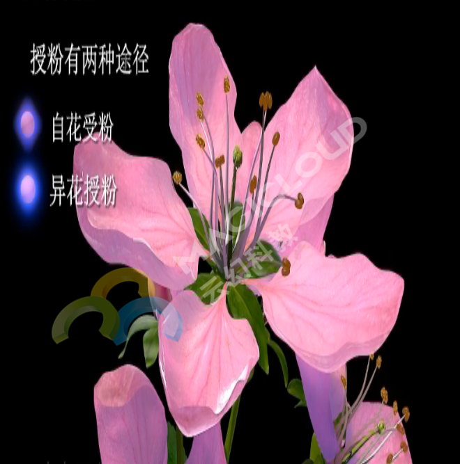 1533518203816745.png 1533518203816745.png