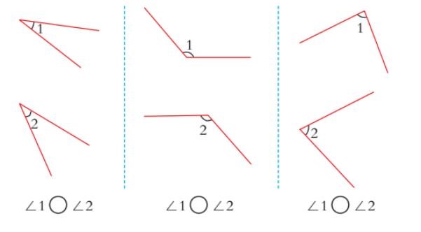 1533604508106840.jpg 7.jpg