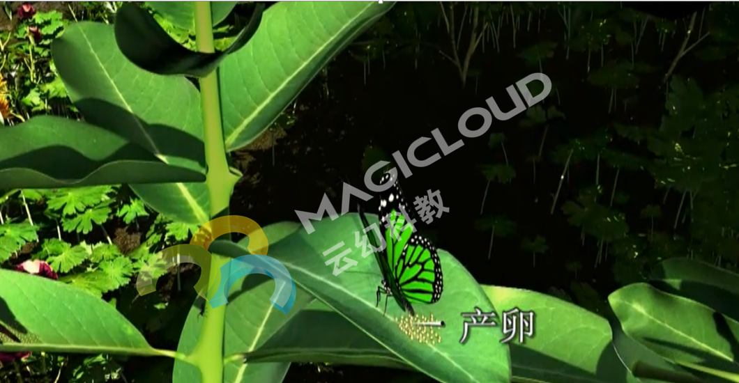 1534296171440439.png 1-副.png