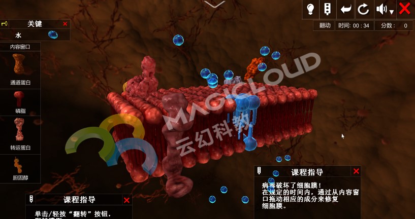 1534816865305398.jpg 3-副.jpg