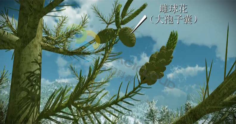 1534996357961717.png 1534996357961717.png