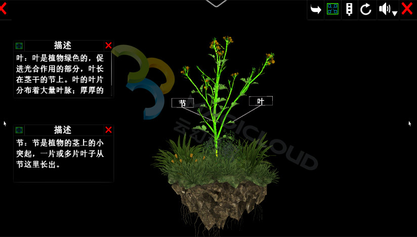 1534996425774826.jpg 1534996425774826.jpg