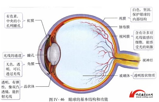 1536115017585070.jpg 2.jpg