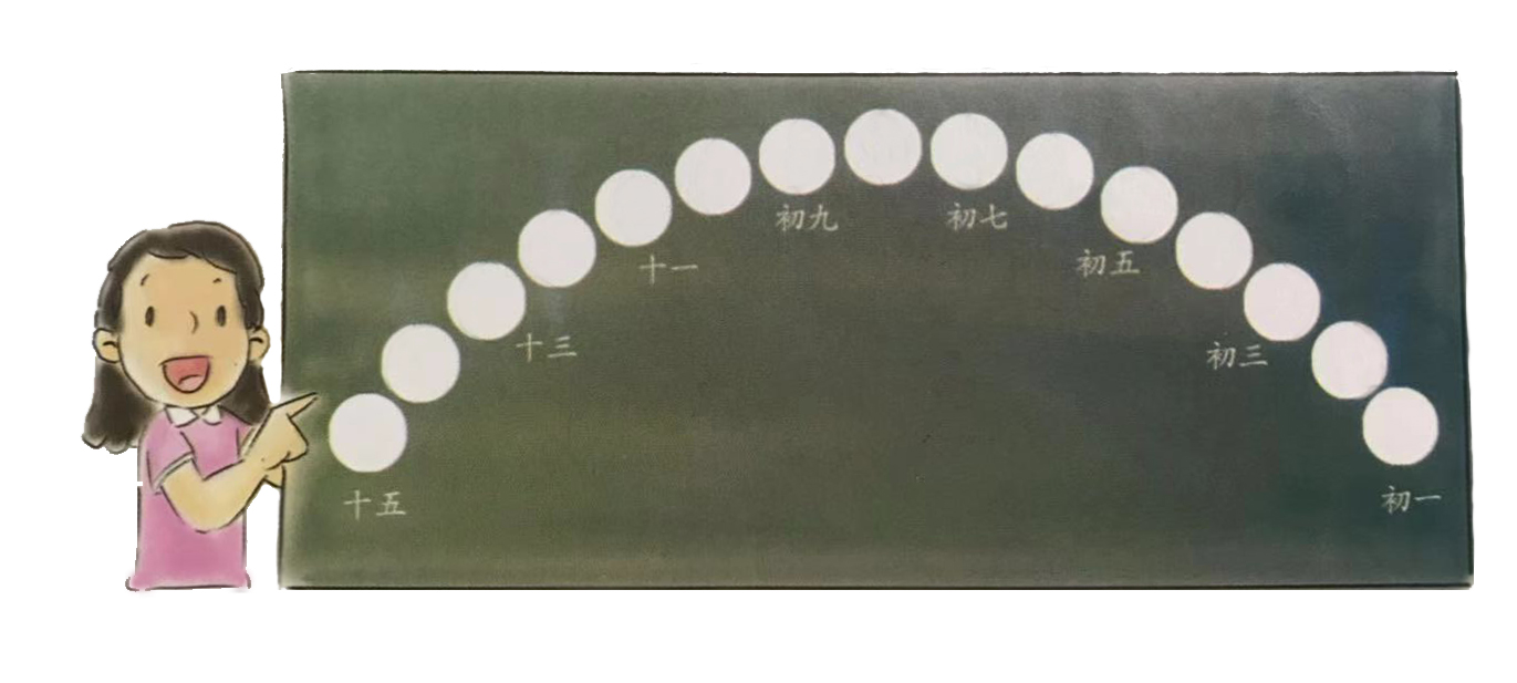 1563758909900734.jpg 8.jpg