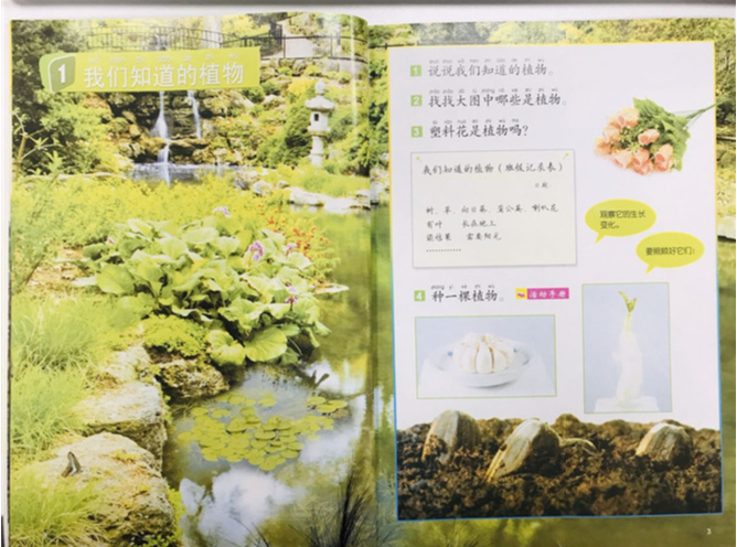 1586521417770110.png 1586521417770110.png