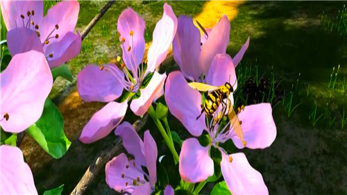 1590137100479616.jpg 27.jpg