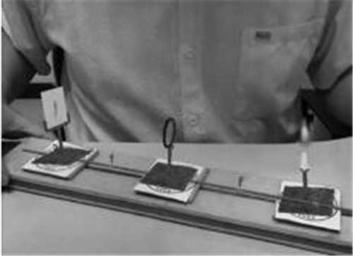 1590368343976617.jpg 7.jpg