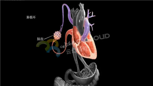 1591839882185025.jpg 5_副本.jpg