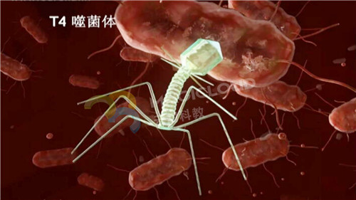 1591839908213694.jpg 7_副本.jpg