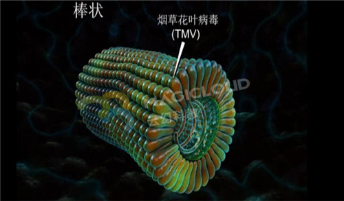 1591839919911240.jpg 8_副本.jpg