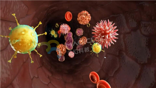 1591839948166893.jpg 9_副本.jpg