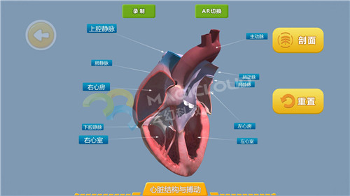 1591840053692185.jpg 13_副本.jpg