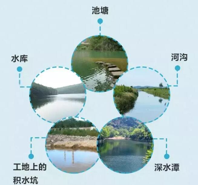 1593309178203201.jpg 5.jpg