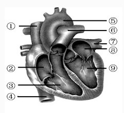 1595385724962873.jpg 1.jpg