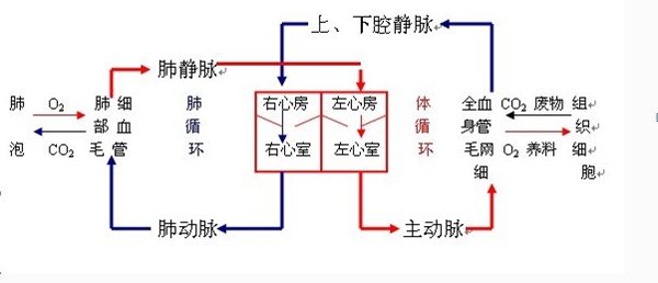 1595385734855337.jpg 2.jpg