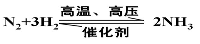 1595494309622831.jpg 10.jpg