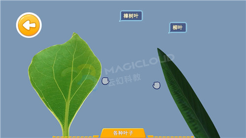 1596156760840218.jpg 7_副本.jpg