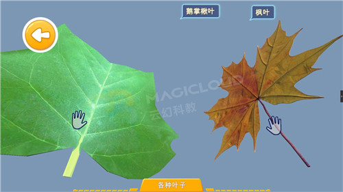 1596156804633537.jpg 11_副本.jpg