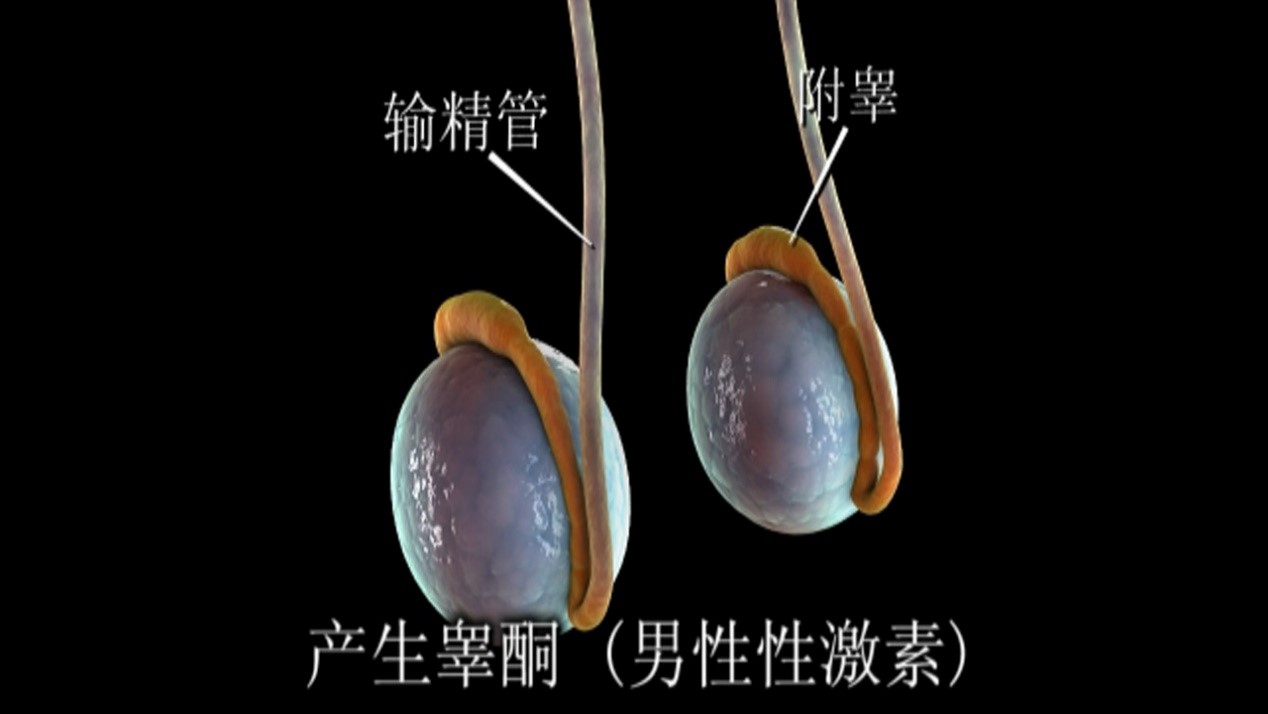 1596767649883260.jpg 1596767649883260.jpg