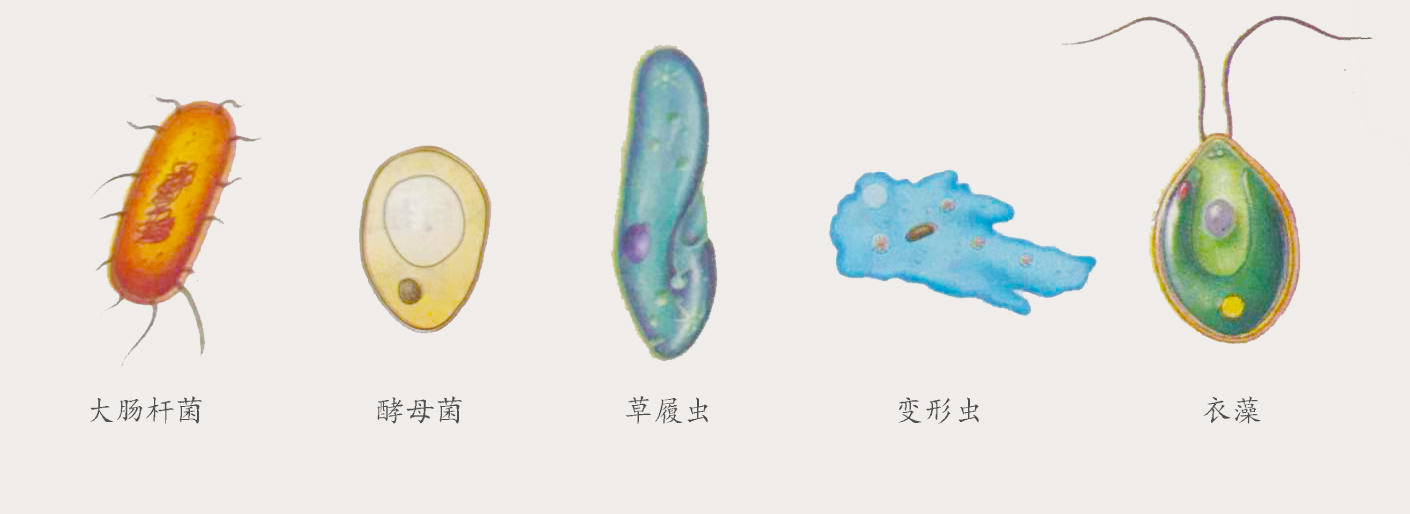 1597366620365290.jpg 1597366620365290.jpg