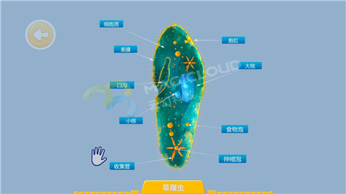 1597366697689210.jpg 3_副本.jpg