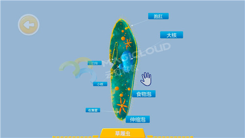 1597366713921010.jpg 4_副本.jpg