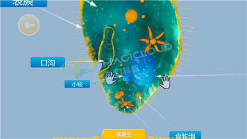 1597366731524256.jpg 6_副本.jpg