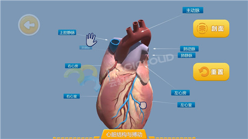 1598316713105864.jpg 1_副本.jpg