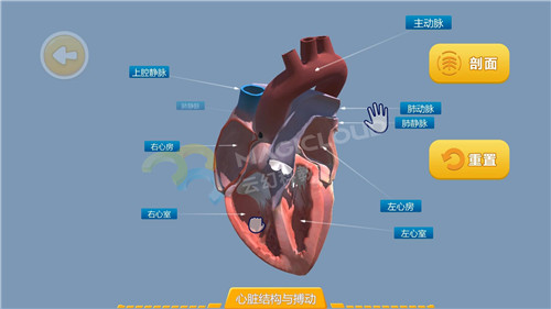 1598316733636267.jpg 2_副本.jpg