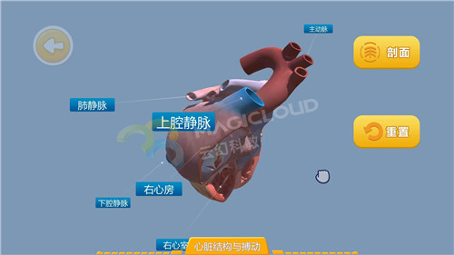 1598316780933745.jpg 4_副本.jpg