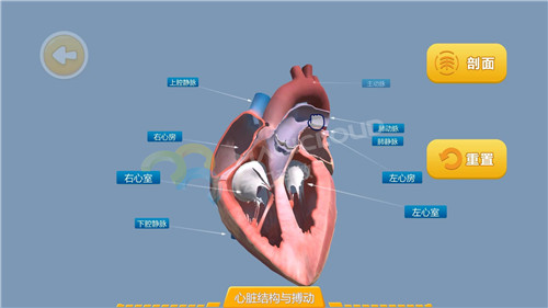 1598316789334139.jpg 5_副本.jpg