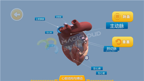 1598316816625264.jpg 7_副本.jpg