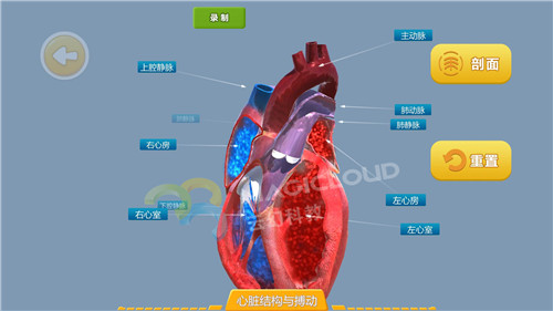 1605237861381182.jpg 14.jpg