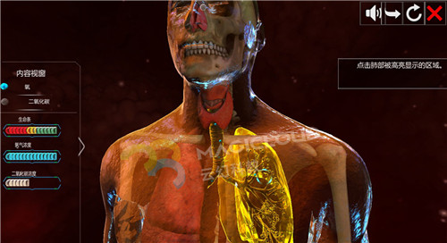 1605237869201634.jpg 15.jpg