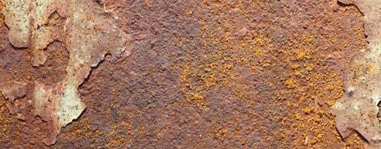 1626744800696425.jpg 1.jpg