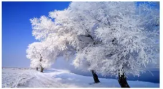 1686298826202640.png 1686298826202640.png