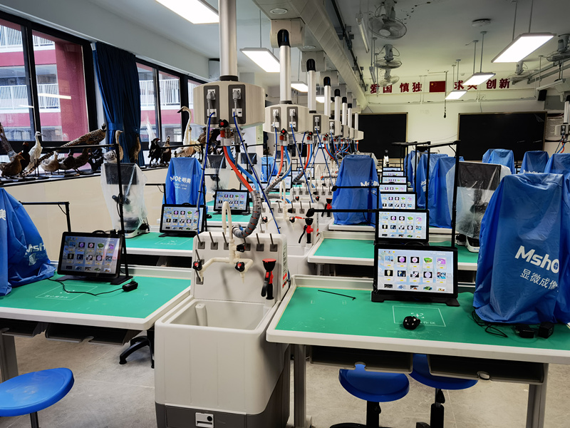 紅嶺教育集團(tuán)大鵬華僑中學(xué)