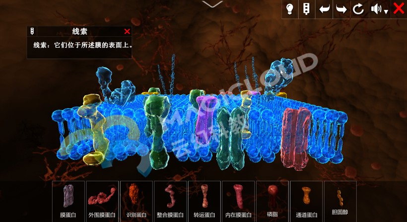 1730691817892811.png 圖片4.png