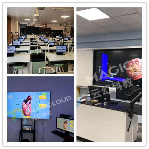 1733813988682766.png 圖片8.png